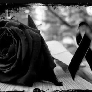 Meet your Posher, Lolitha